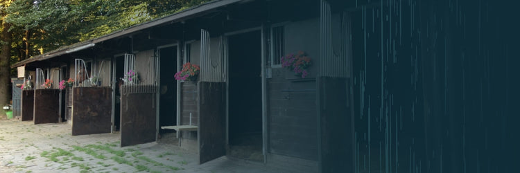 For Stable