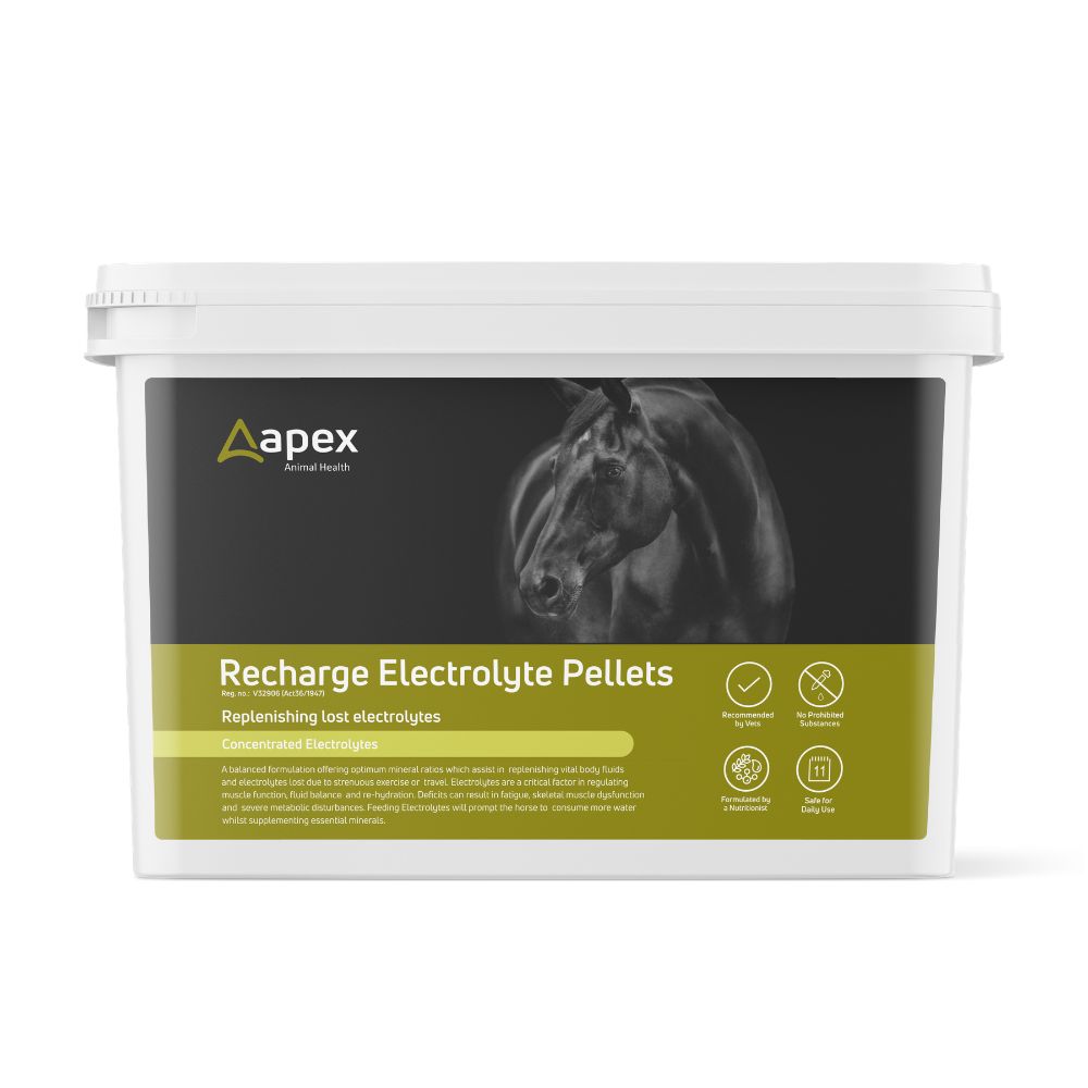 Apex Recharge Electrolyte Pellets horse electrolyte supplement