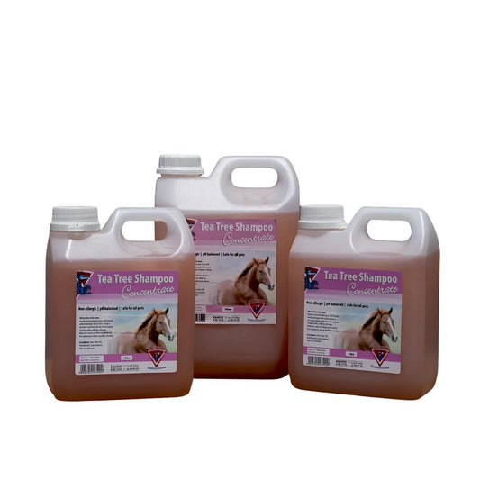 Equifox Tea tree shampoo