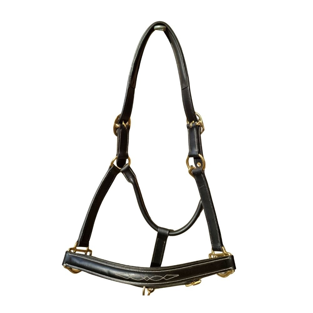 Grandeur Raised Padded Halter Black Cob leather horse halter